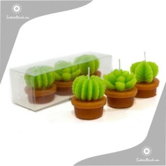 velas cactus chicas o pequeñas x 3 unidades con maceta