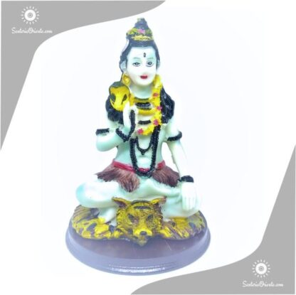 imagen de resina de shiva